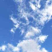 ヒメ日記 2025/10/19 22:31 投稿 新人・若菜(わかな) グランドオペラ福岡