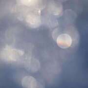 ヒメ日記 2025/10/26 16:24 投稿 新人・若菜(わかな) グランドオペラ福岡