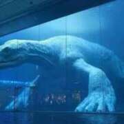 ヒメ日記 2025/11/01 11:41 投稿 新人・若菜(わかな) グランドオペラ福岡