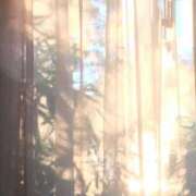 ヒメ日記 2025/11/22 12:32 投稿 新人・若菜(わかな) グランドオペラ福岡