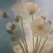 ヒメ日記 2025/11/23 11:28 投稿 新人・若菜(わかな) グランドオペラ福岡