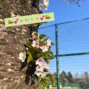 ヒメ日記 2025/04/19 12:05 投稿 まな 人妻倶楽部 内緒の関係 越谷店