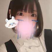 ヒメ日記 2025/01/10 09:12 投稿 もこ NEW GENERATION