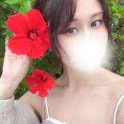 ヒメ日記 2025/12/24 10:33 投稿 もこ NEW GENERATION