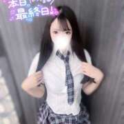 ヒメ日記 2025/02/21 13:00 投稿 ゆあん DOLCE