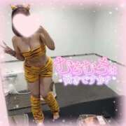 ヒメ日記 2026/02/03 23:18 投稿 ふう ごほうびSPA京都店