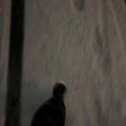 ヒメ日記 2026/02/08 22:08 投稿 ふう ごほうびSPA京都店