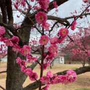 ヒメ日記 2025/03/17 10:14 投稿 安奈(あんな) カリビアンマッサージ 天使のゆびさき 岡山店