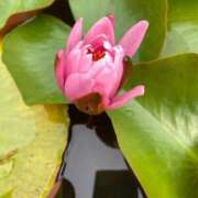 ヒメ日記 2025/06/17 09:50 投稿 安奈(あんな) カリビアンマッサージ 天使のゆびさき 岡山店