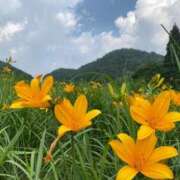 ヒメ日記 2025/07/03 09:44 投稿 安奈(あんな) カリビアンマッサージ 天使のゆびさき 岡山店