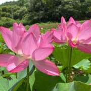 ヒメ日記 2025/07/14 09:54 投稿 安奈(あんな) カリビアンマッサージ 天使のゆびさき 岡山店