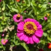 ヒメ日記 2025/08/01 09:50 投稿 安奈(あんな) カリビアンマッサージ 天使のゆびさき 岡山店