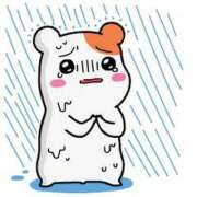 ヒメ日記 2025/04/23 09:24 投稿 仁科　ちなみ クラブダンディー