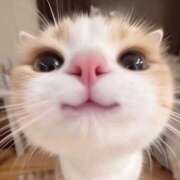 ヒメ日記 2025/05/05 20:57 投稿 仁科　ちなみ クラブダンディー