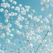 ヒメ日記 2025/05/27 12:07 投稿 仁科　ちなみ クラブダンディー