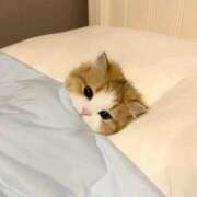 ヒメ日記 2025/05/30 10:13 投稿 仁科　ちなみ クラブダンディー