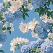 ヒメ日記 2025/07/06 15:43 投稿 仁科　ちなみ クラブダンディー