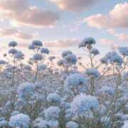 ヒメ日記 2025/07/11 12:00 投稿 仁科　ちなみ クラブダンディー