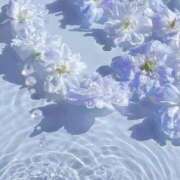 ヒメ日記 2025/08/11 06:22 投稿 仁科　ちなみ クラブダンディー