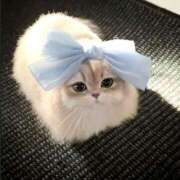 ヒメ日記 2025/10/08 09:36 投稿 仁科　ちなみ クラブダンディー