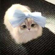 ヒメ日記 2025/10/08 09:46 投稿 仁科　ちなみ クラブダンディー