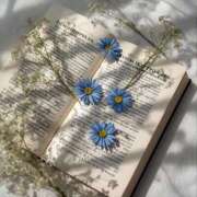 仁科　ちなみ 出勤予定でました🙌🏻 クラブダンディー