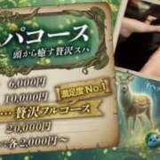 ヒメ日記 2026/02/22 23:28 投稿 汐見なぎ Flamingo（王子）