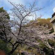 ヒメ日記 2026/04/04 00:35 投稿 汐見なぎ Flamingo（王子）