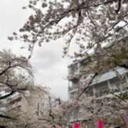 ヒメ日記 2026/04/11 00:48 投稿 汐見なぎ Flamingo（王子）