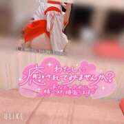 ヒメ日記 2025/03/22 11:16 投稿 ゆま buzz-B