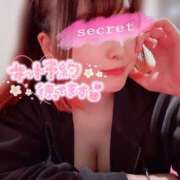 ヒメ日記 2025/04/26 17:04 投稿 ゆま buzz-B