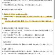 ヒメ日記 2025/08/05 12:53 投稿 ゆま buzz-B