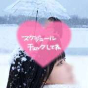 ヒメ日記 2026/02/23 12:41 投稿 さき 松戸角海老根本店