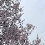 ヒメ日記 2026/02/26 12:21 投稿 さき 松戸角海老根本店