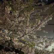 ヒメ日記 2025/04/05 14:13 投稿 葵みつき ウフフな40。ムフフな50。。（横浜ハレ系）