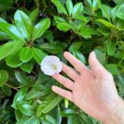 ヒメ日記 2026/06/14 08:04 投稿 葵みつき ウフフな40。ムフフな50。。（横浜ハレ系）