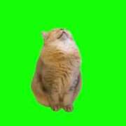 ヒメ日記 2025/02/01 03:38 投稿 るい 宮城大崎古川ちゃんこ