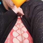 ヒメ日記 2025/02/05 17:08 投稿 るい 宮城大崎古川ちゃんこ