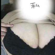 ヒメ日記 2025/04/20 16:28 投稿 るい 宮城大崎古川ちゃんこ