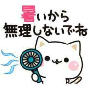 ヒメ日記 2025/07/08 11:08 投稿 るい 宮城大崎古川ちゃんこ