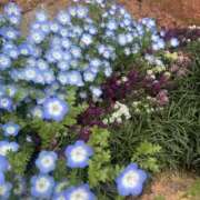 ヒメ日記 2025/04/30 21:36 投稿 つき 千葉人妻セレブリティ（ユメオト）