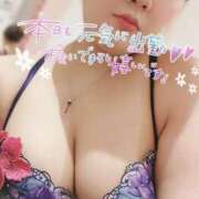 ヒメ日記 2025/08/14 08:47 投稿 紗希（さき） チューリップ宇都宮店