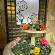 ヒメ日記 2025/02/05 20:53 投稿 七瀬　奈々 30・40・50代☆人妻熟女コレクション