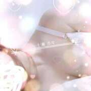 ヒメ日記 2025/03/01 08:01 投稿 七瀬　奈々 30・40・50代☆人妻熟女コレクション