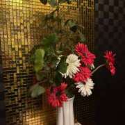 ヒメ日記 2025/03/03 15:50 投稿 七瀬　奈々 30・40・50代☆人妻熟女コレクション