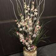 ヒメ日記 2025/03/07 23:21 投稿 七瀬　奈々 30・40・50代☆人妻熟女コレクション