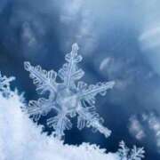 ヒメ日記 2025/03/08 10:14 投稿 七瀬　奈々 30・40・50代☆人妻熟女コレクション