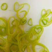 ヒメ日記 2025/03/21 22:13 投稿 七瀬　奈々 30・40・50代☆人妻熟女コレクション