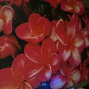 ヒメ日記 2025/03/26 20:40 投稿 七瀬　奈々 30・40・50代☆人妻熟女コレクション