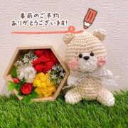 ヒメ日記 2025/04/01 11:04 投稿 七瀬　奈々 30・40・50代☆人妻熟女コレクション